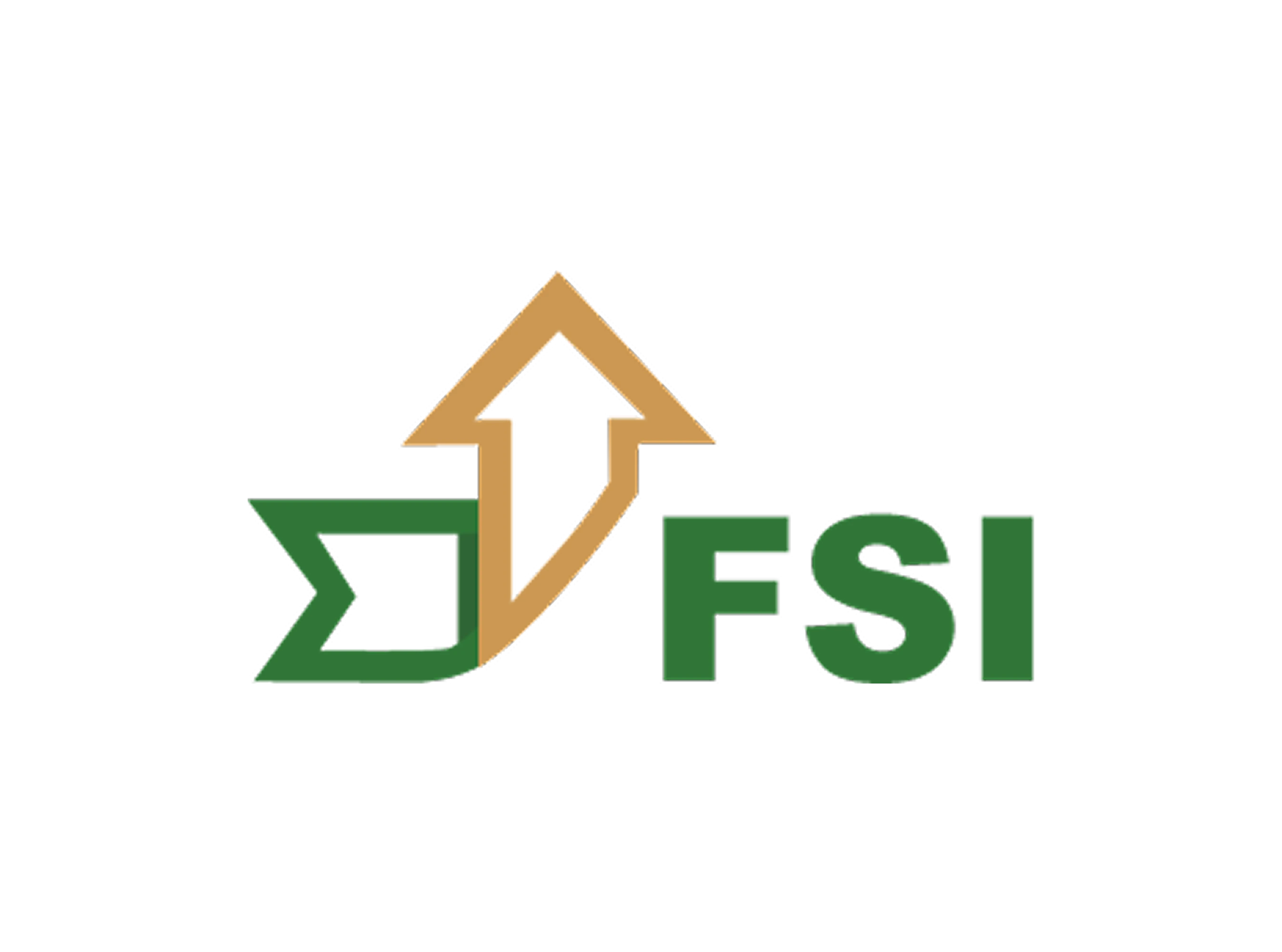 FSI